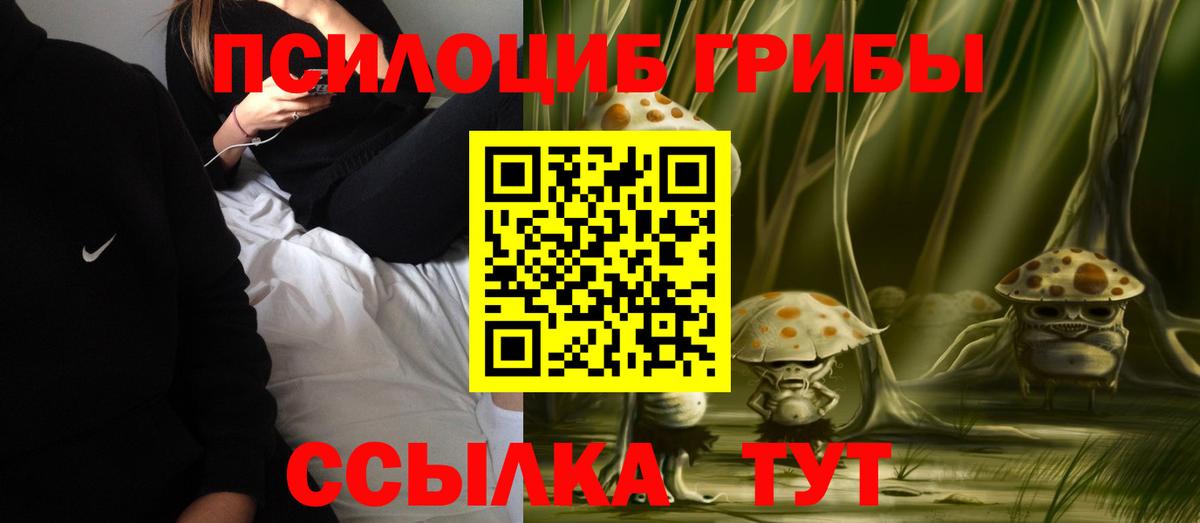 Ржев  Галлюциногенные грибы MAGIC MUSHROOMS  Вход с VPN  даркнет сайт  Псилоцибиновые грибы GOLDEN TEACHER 